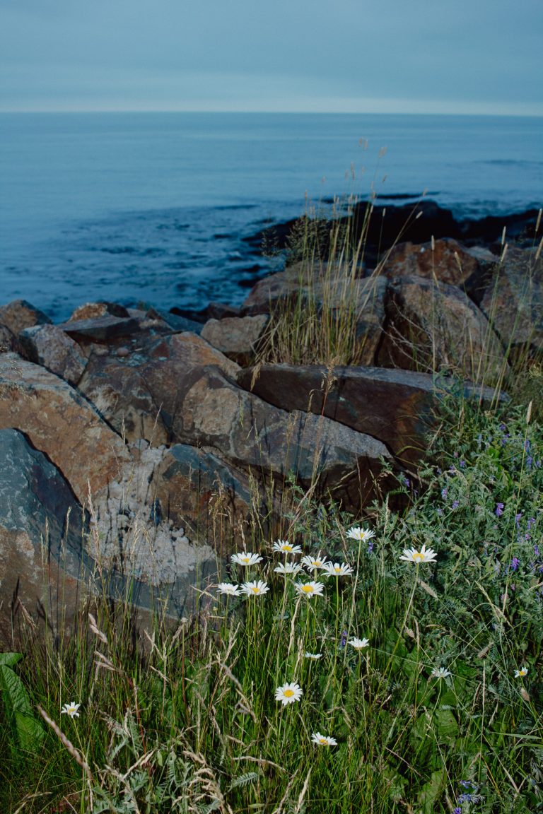 Family Roadtrip to Grand Manan Island, New Brunswick from Ottawa, Ontario